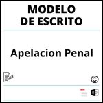 Modelo Escrito De Apelacion Penal