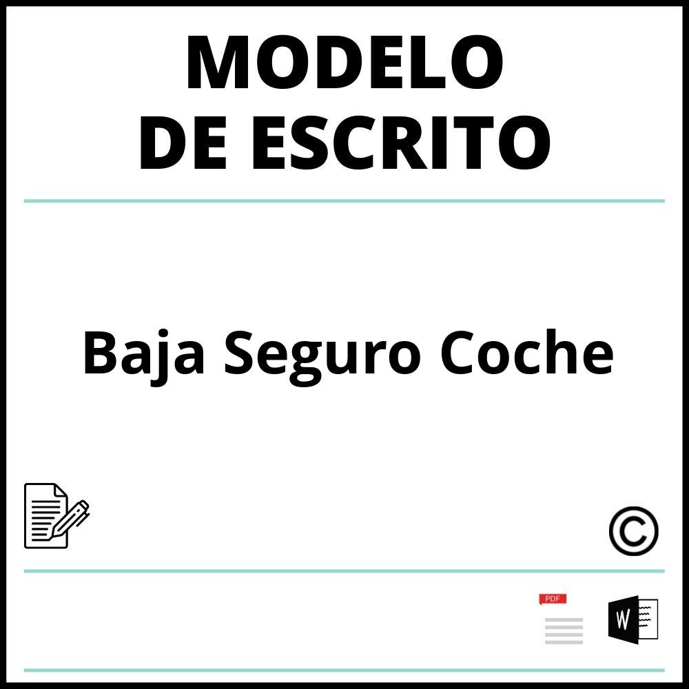 Modelo Escrito Baja Seguro Coche