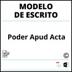 Modelo Escrito Poder Apud Acta